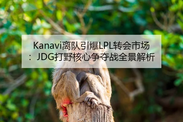 Kanavi离队引爆LPL转会市场：JDG打野核心争夺战全景解析
